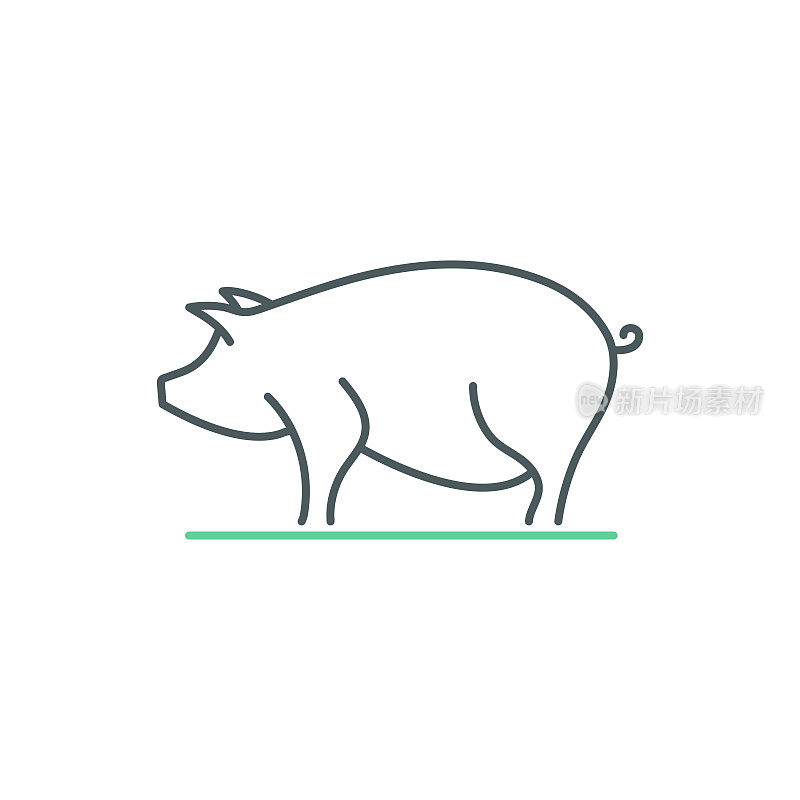 猪养殖双色线图标设计与可编辑的笔触。适用于信息图表，网页，移动应用程序，UI, UX和GUI设计。